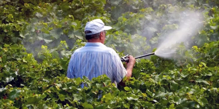 Foto: archivo - ilustrativa // Alertan por entrega del gobierno de Oaxaca de pesticida prohibido.