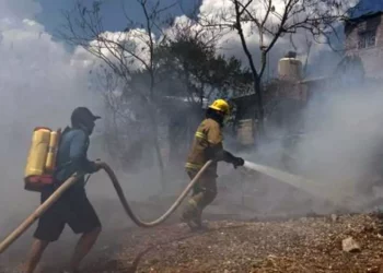 Elementos de Bomberos sofocaron el incendio registrado en el Libramiento Norte.