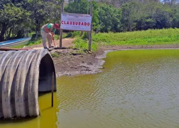 Foto: Profepa // La inspección de Profepa que terminó en clausura.