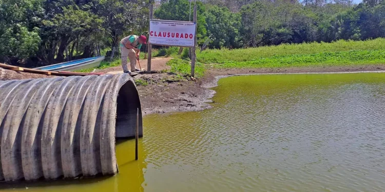 Foto: Profepa // La inspección de Profepa que terminó en clausura.