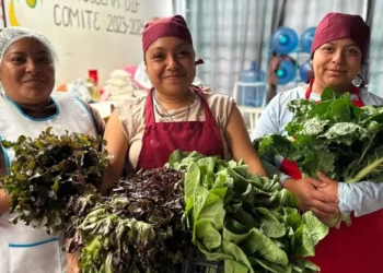 Esta iniciativa busca impulsar el consumo de alimentos frescos y nutritivos que favorezcan el desarrollo integral de la niñez.