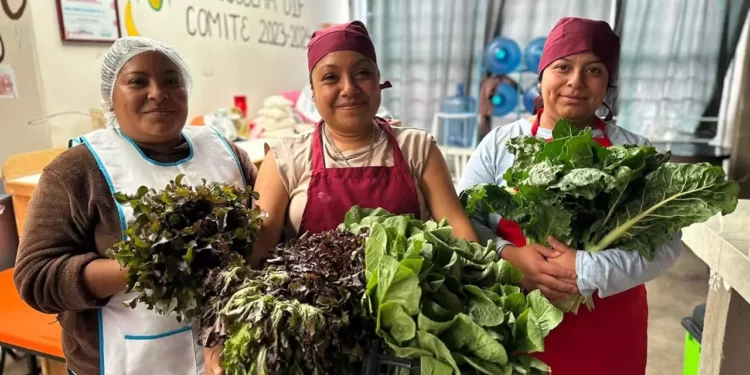 Esta iniciativa busca impulsar el consumo de alimentos frescos y nutritivos que favorezcan el desarrollo integral de la niñez.