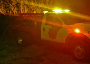 Elementos de Bomberos y brigadistas lograron sofocar el incendio de carrizales.