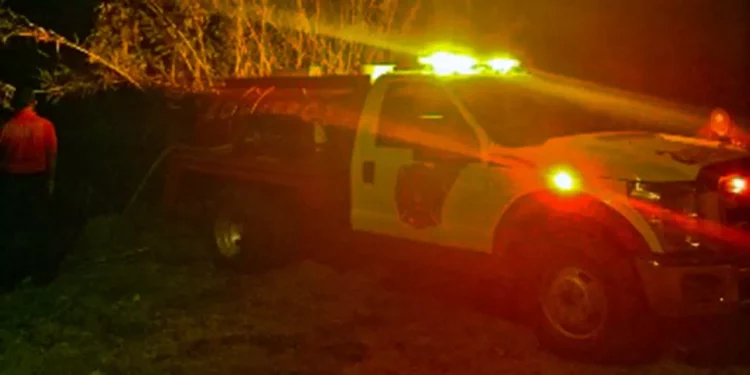Elementos de Bomberos y brigadistas lograron sofocar el incendio de carrizales.