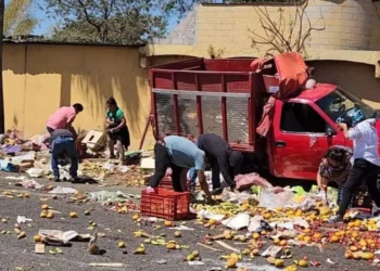 Familia resulta herida tras accidente en la 175; fallas viales y prevención, en la mira