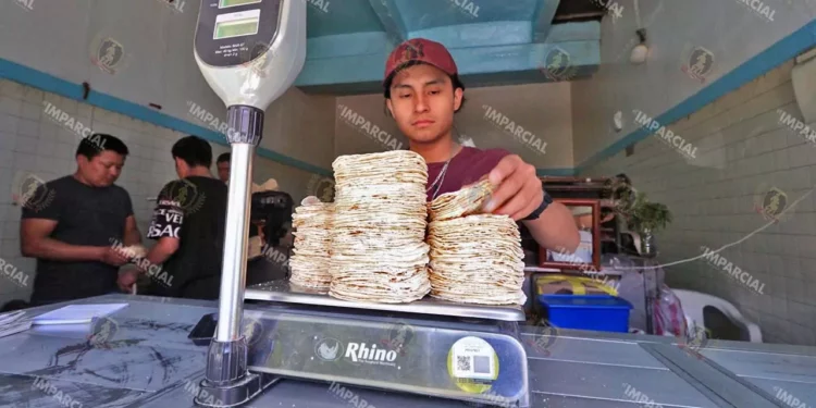 ¿Habrá multas por venta de tortillas en hieleras? Profeco aclara