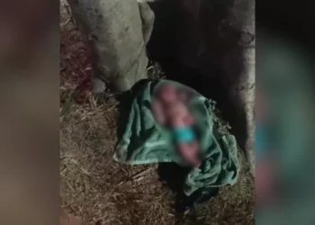 Abandonan a bebé recién nacida en parque de Huatulco: rechazada por hospitales antes de ser rescatada
