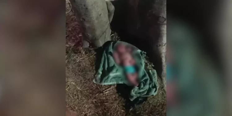 Abandonan a bebé recién nacida en parque de Huatulco: rechazada por hospitales antes de ser rescatada