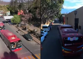 ¡Es hoy, es hoy! Transporte gratis para la Feria del Tejate: impulso cultural con retos de movilidad