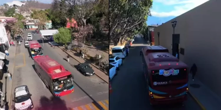 ¡Es hoy, es hoy! Transporte gratis para la Feria del Tejate: impulso cultural con retos de movilidad