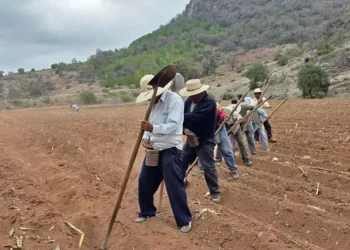 Foto: Nuevo Siglo // Campesinos de la comunidad mixteca de Tooxi a la espera de las primeras lluvias.