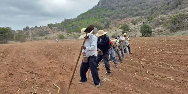 Foto: Nuevo Siglo // Campesinos de la comunidad mixteca de Tooxi a la espera de las primeras lluvias.