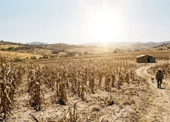 Canícula 2026 en México: ¿Cuándo empieza y qué estados sufrirán más el calor extremo?