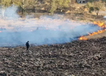 Foto: Municipio de Oaxaca // Combate a incendio de pastizales en el cerro del Crestón, al norte de la ciudad.
