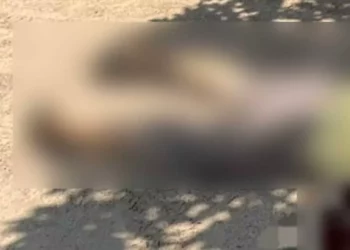 El cuerpo de Francisco presentaba al menos diez impactos de bala.