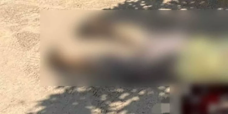 El cuerpo de Francisco presentaba al menos diez impactos de bala.