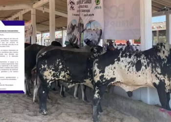 Cancelan Expoferia Ganadera 2026 en el Istmo; organizadores alegan “causas ajenas”