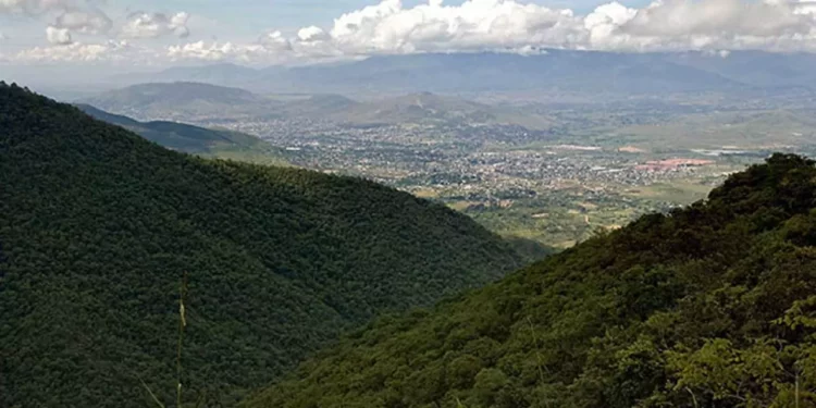 Foto: VisitMexico // El Parque Nacional Benito Juárez tiene a sus pies a la zona metropolitana de la ciudad de Oaxaca, a la cual brinda oxígeno.