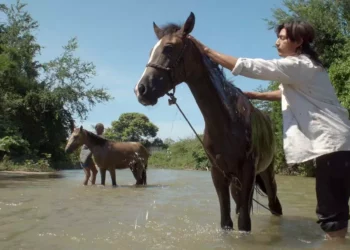 El documental "Boca Vieja" fue grabado en la playa del mismo nombre, en la comunidad de Bajos de Coyula.