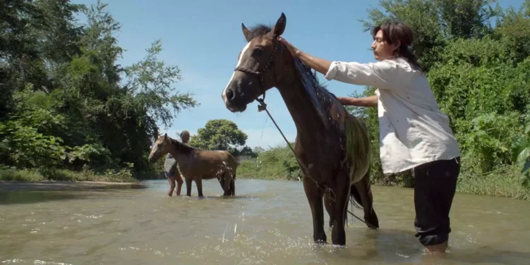 El documental "Boca Vieja" fue grabado en la playa del mismo nombre, en la comunidad de Bajos de Coyula.