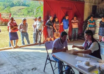 Foto: Agricultura // En Oaxaca se puso en marcha la entrega de fertilizantes.