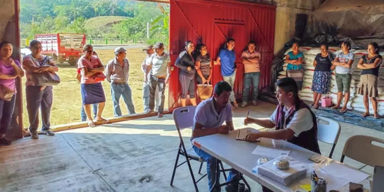 Foto: Agricultura // En Oaxaca se puso en marcha la entrega de fertilizantes.
