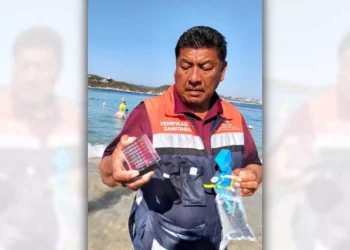 En el estado de Oaxaca se analizaron 15 playas y 17 sitios de muestreo en tres destinos turísticos.