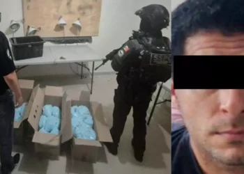 Golpe al narco: decomisan más de 270 kilos de fentanilo y detienen a presunto líder criminal en Colima