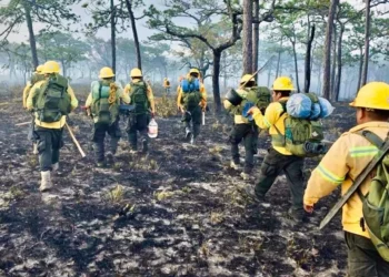 Foto: Coesfo // Funcionarios de Oaxaca persisten en la ineficacia en combate a incendios.
