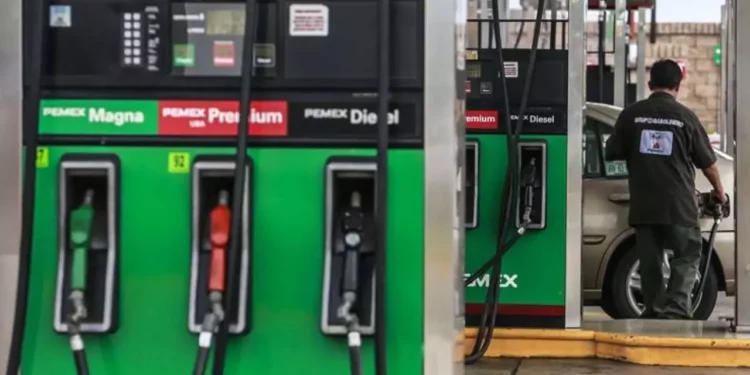 ¿Bajará la gasolina? Hacienda reactiva estímulos fiscales al IEPS: Así quedan los precios del 21 al 27 de marzo