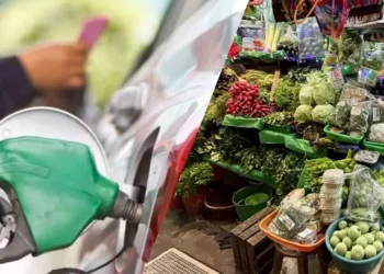 ¿Cuánto cuesta la gasolina y la canasta básica hoy? Profeco revela los precios más bajos de marzo