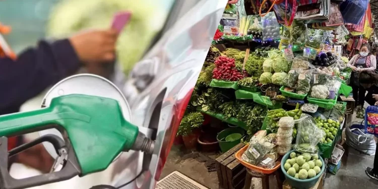 ¿Cuánto cuesta la gasolina y la canasta básica hoy? Profeco revela los precios más bajos de marzo