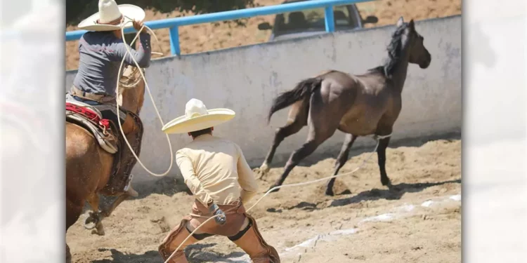 Fotos: Leobardo García Reyes // Las actividades se desarrollarán en Hacienda Blanca.