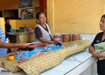 Los estudiantes aplican sus conocimientos a través del servicio comunitario.