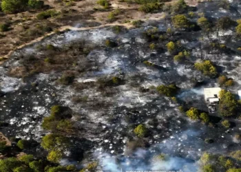 Los incendios han sido controlados gracias a la pronta respuesta de los cuerpos de emergencia y a la participación de la ciudadanía.