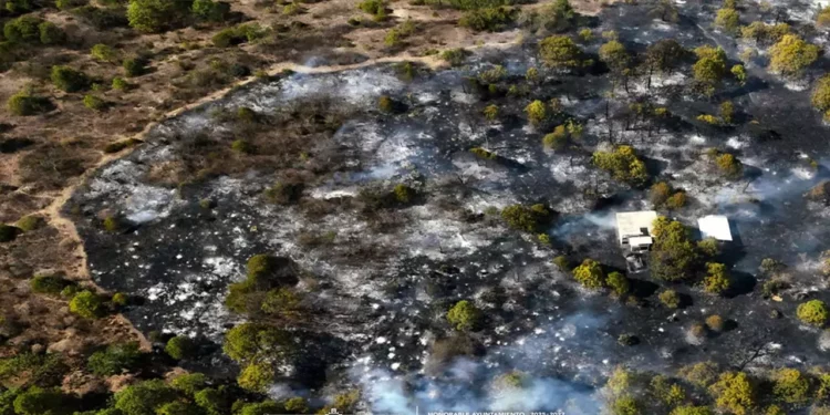 Los incendios han sido controlados gracias a la pronta respuesta de los cuerpos de emergencia y a la participación de la ciudadanía.
