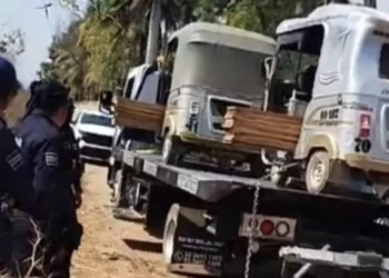 Sorprenden a mototaxis con madera presuntamente robada en la Transístmica