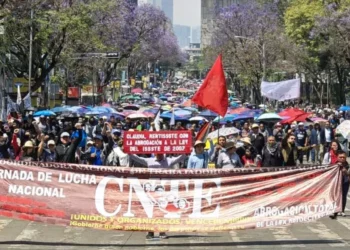 Foto: redes sociales //Se realizó una marcha en la capital del país, con un llamado a una mesa de diálogo donde asista la presidenta de la República.