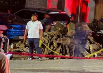 Foto: redes sociales // Un camión cargado de troncos perdió el control por fallas mecánicas. La desgracia que enluto Guelatao el fin de semana.