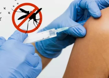 Cofepris aprueba Qdenga: La nueva vacuna contra el dengue llega a México
