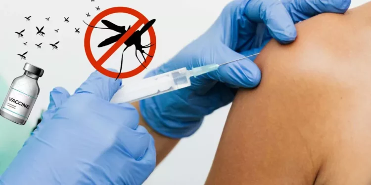 Cofepris aprueba Qdenga: La nueva vacuna contra el dengue llega a México