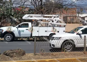 Foto: Lisbeth Mejía // Vehículos de CFE resguardan las podas irregulares sobre avenida Chapultepec.