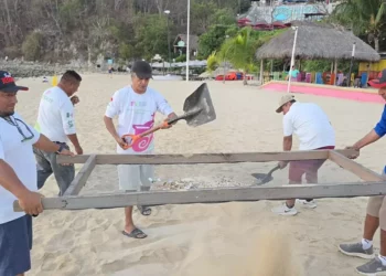 Realizan jornada de limpieza y cribado mecánico en Playa Santa Cruz