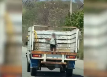 VIDEO | Viaje al borde de la tragedia: niño de 3 años fue descubierto en la batea de una camioneta en movimiento