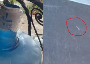 Video | ¡Escándalo sanitario en Puerto Escondido! Denuncian agua “purificada” con “cortatripas” y posible riesgo masivo