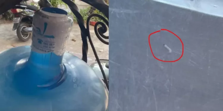 Video | ¡Escándalo sanitario en Puerto Escondido! Denuncian agua “purificada” con “cortatripas” y posible riesgo masivo