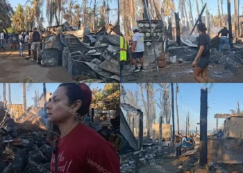 VIDEO | Zicatela amanece entre cenizas: limpieza y solidaridad tras el devastador incendio que arrasó la zona turística