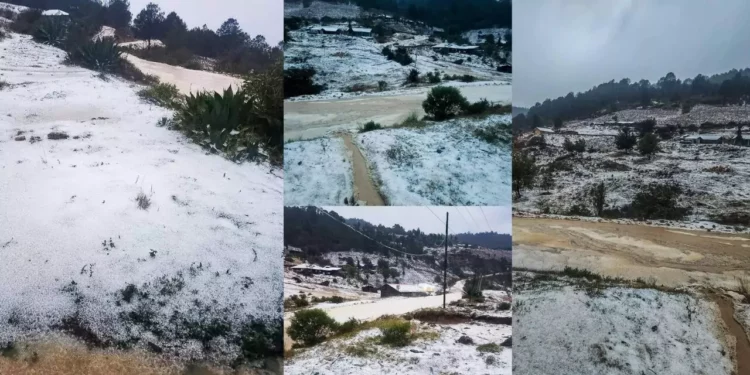 Granizada sorprende a comunidad Mixteca y cubre de blanco el paisaje