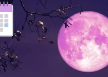 Luna Rosa 2026 en México: ¿Cuándo y cómo ver el espectáculo astronómico de abril?