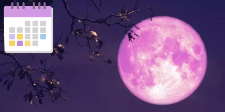 Luna Rosa 2026 en México: ¿Cuándo y cómo ver el espectáculo astronómico de abril?